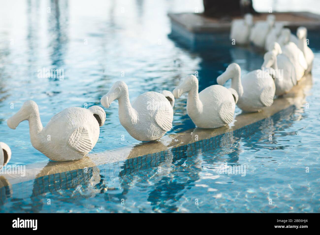 Dodo Bird Mauritius High Resolution Stock Photography and Images - Alamy