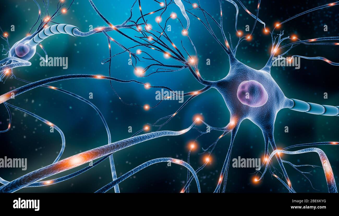 Neuronal network with electrical activity of neuron cells 3D rendering illustration. Neuroscience, neurology, nervous system and impulse, brain activi Stock Photo