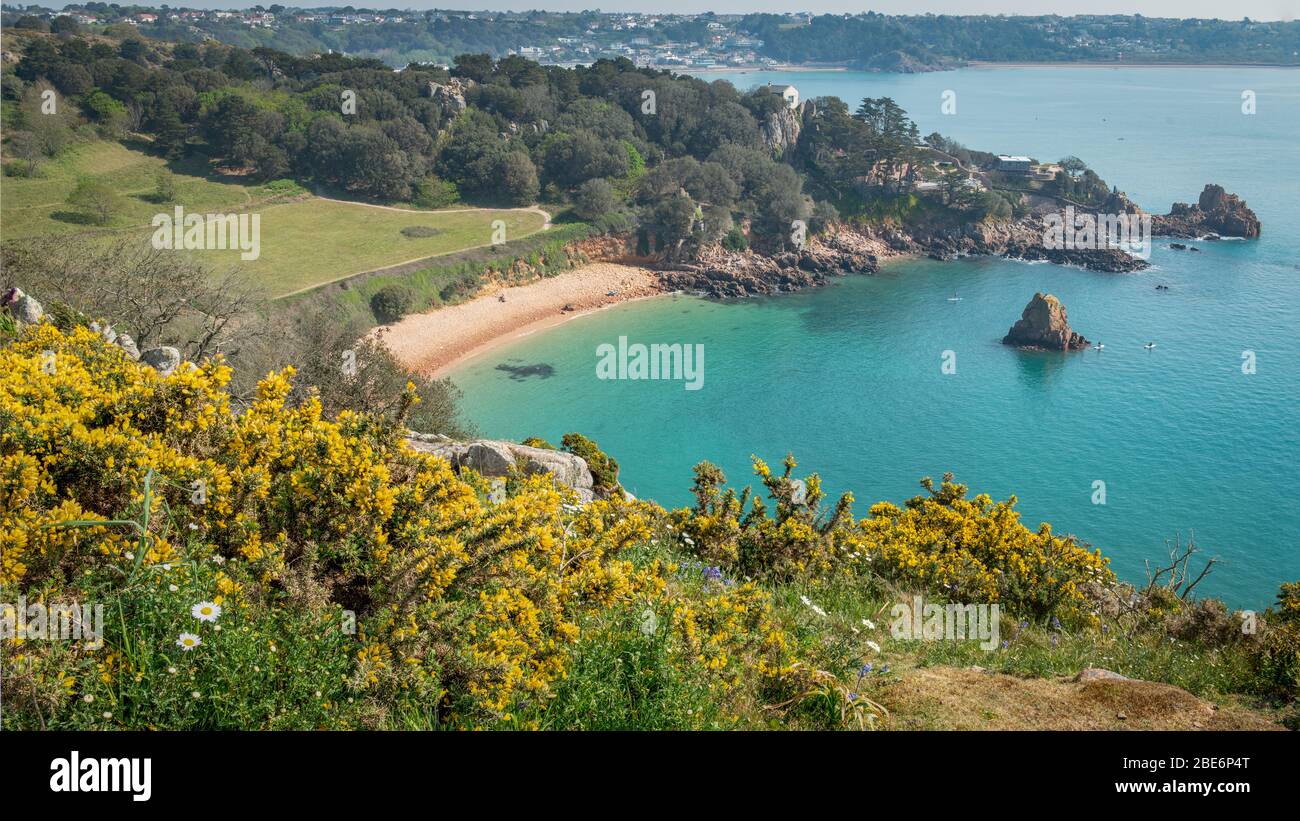 Sunny day and clear, calm sea at Beauport Beach, St. Brelade, Jersey,  Channel Islands. The view from the coastal path Stock Photo - Alamy
