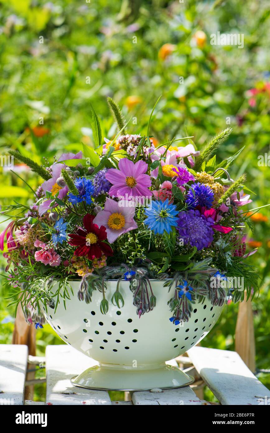 Colorful wild flower bouquet in a pot Stock Photo - Alamy
