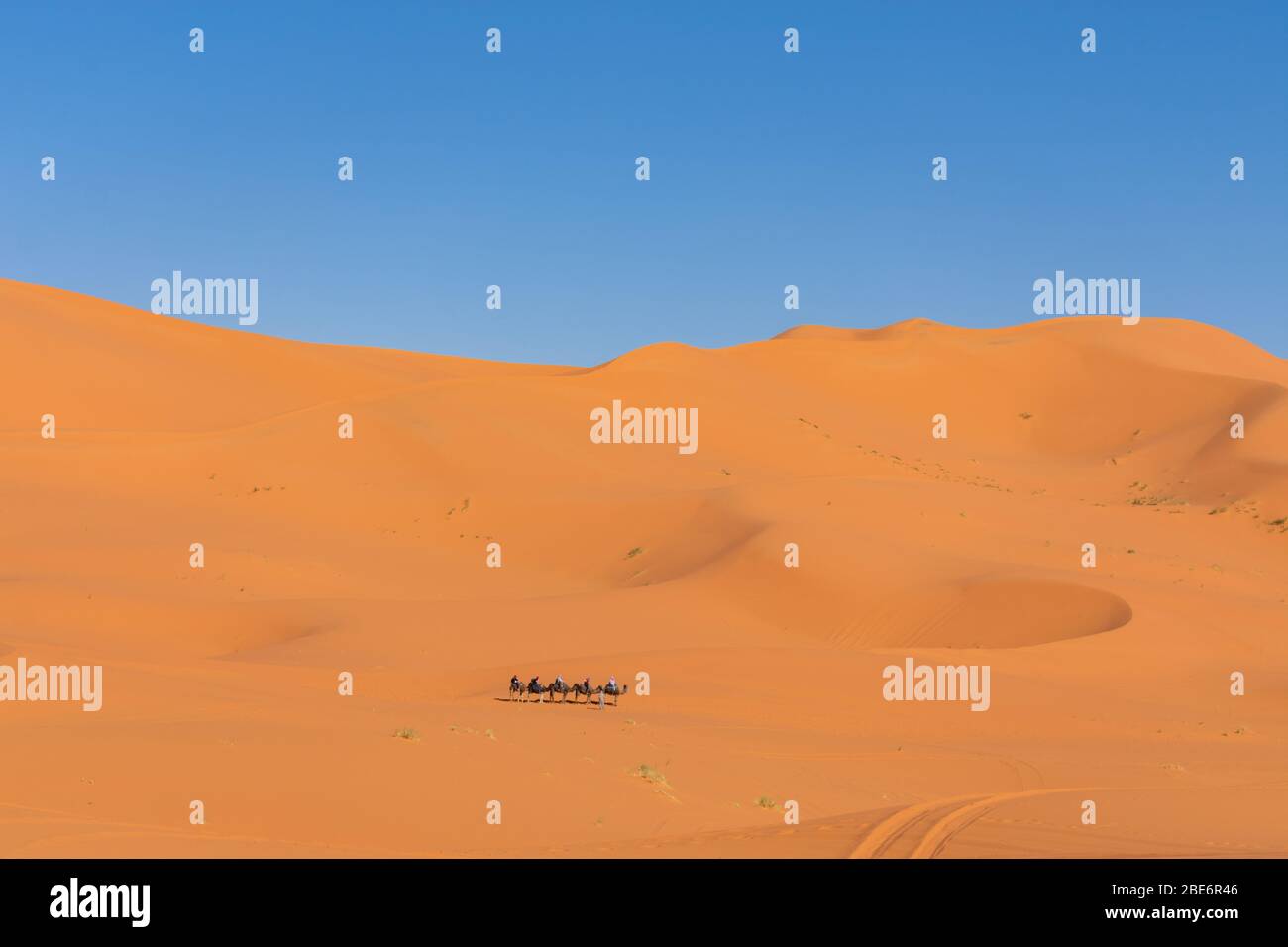 Camel Train in the distance Traversing Sand Dunes in the Sahara Desert Stock Photo