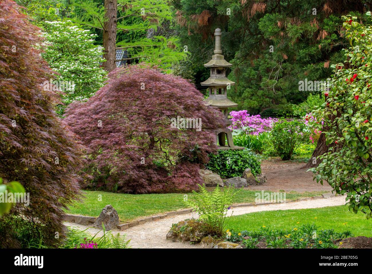 Amazing view in japanese garden in Leverkusen lantern and japanese maples with red leaves