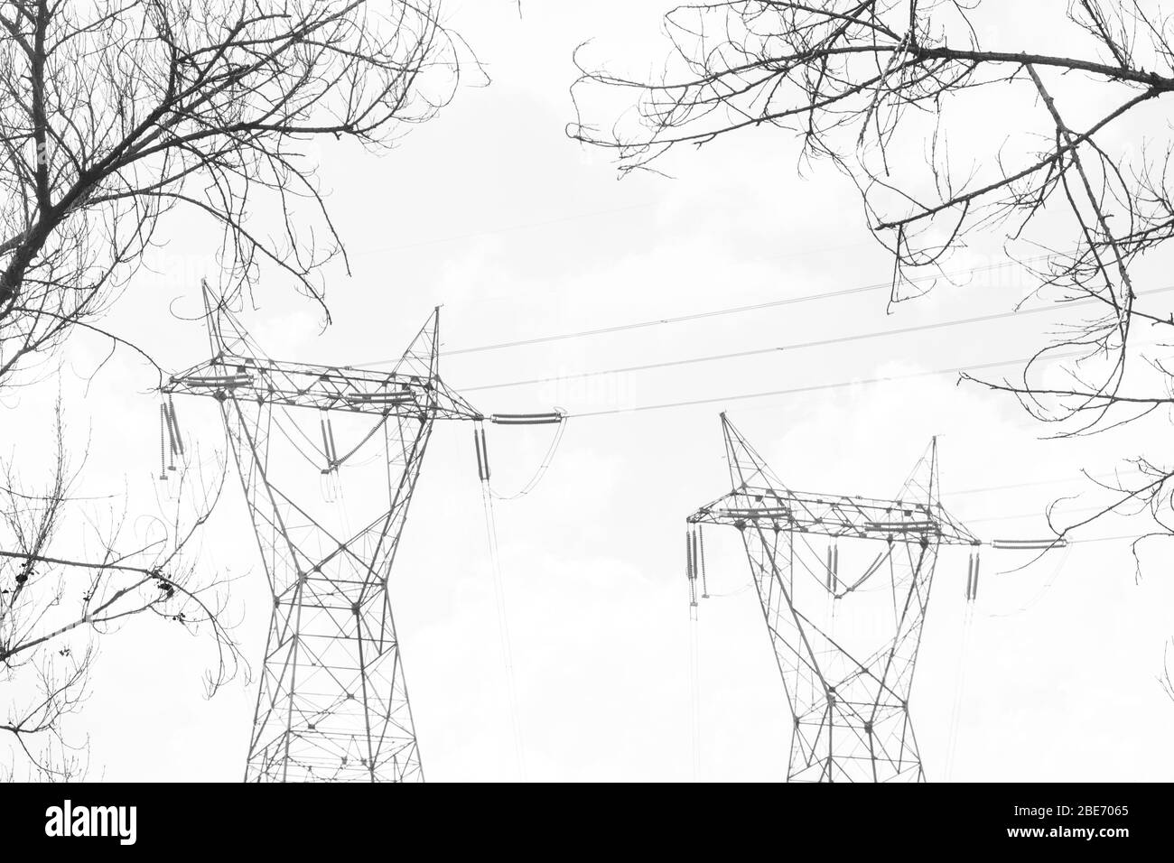 Black and white silhouette of two electrical towers framed by tree branches. Stock Photo