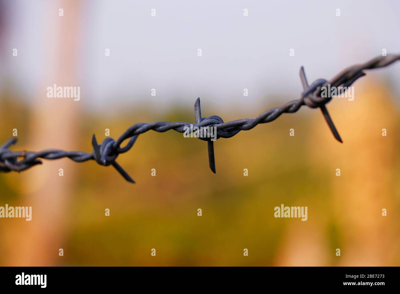 metal chain with spike for the fence for the safety and security