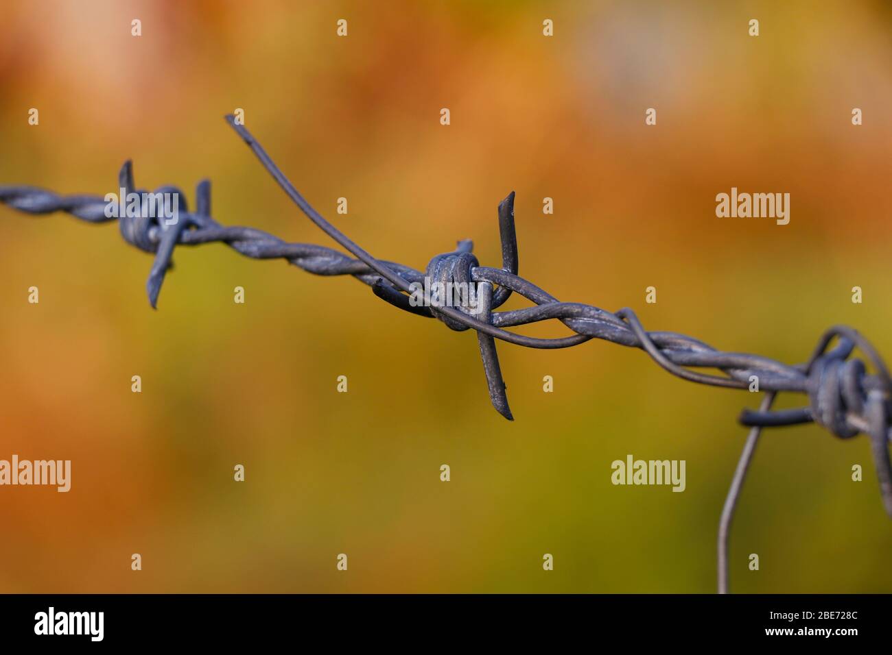 metal chain with spike for the fence for the safety and security