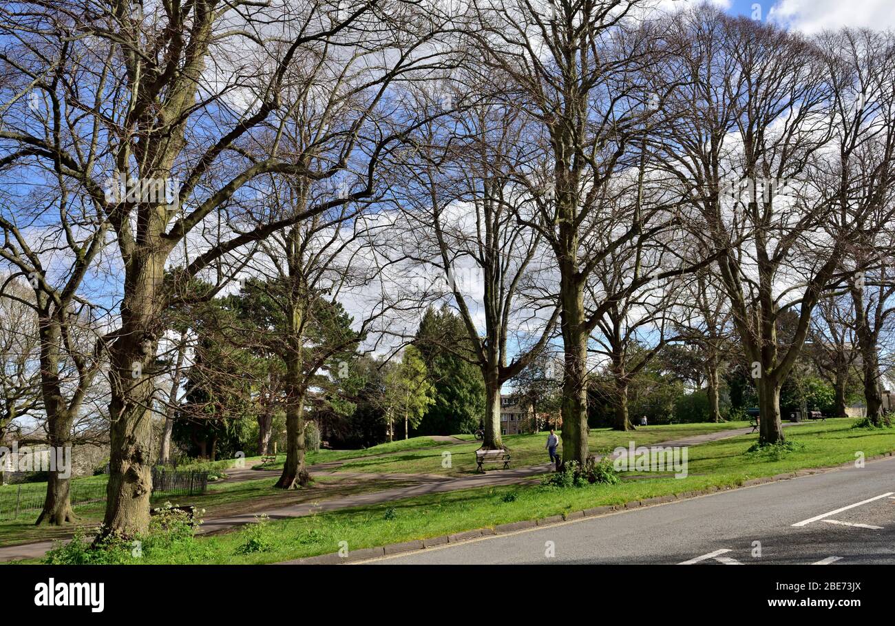 Cotham Gardens public park, Redland Grove, in spring, Bristol, UK Stock Photo