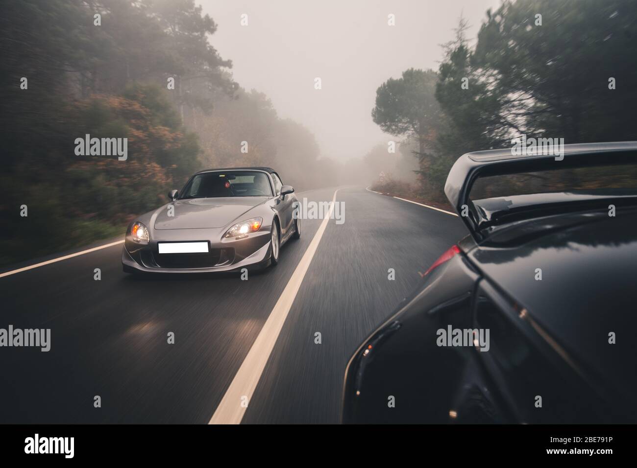 Cars on the forest road in a foggy weather Stock Photo - Alamy