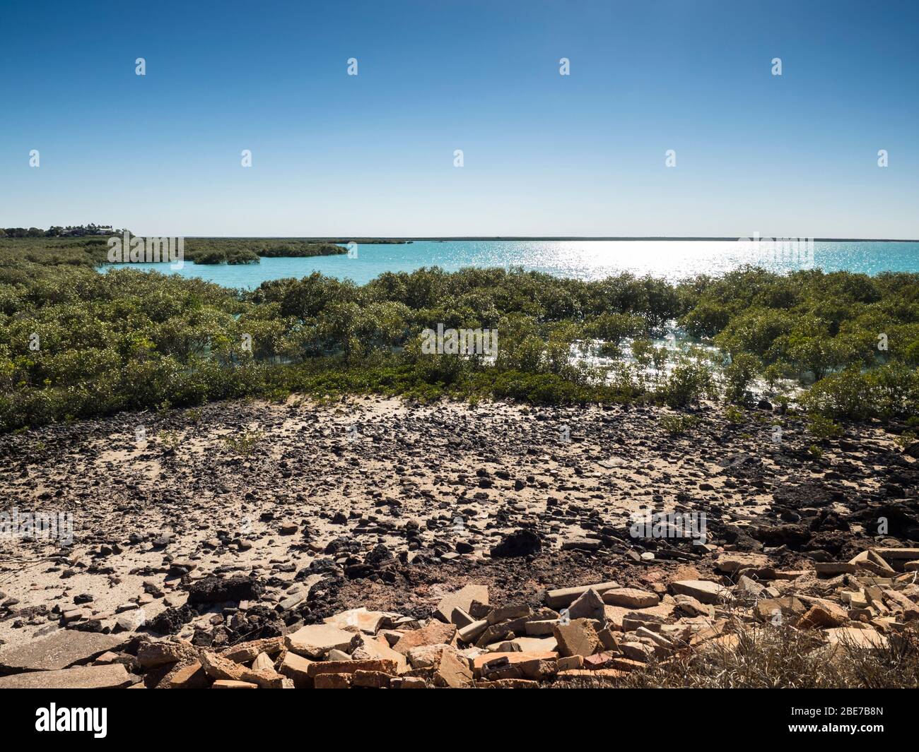 Mangroves and mudflats of Roebuck Bay, Broome, The Kimberley, Western