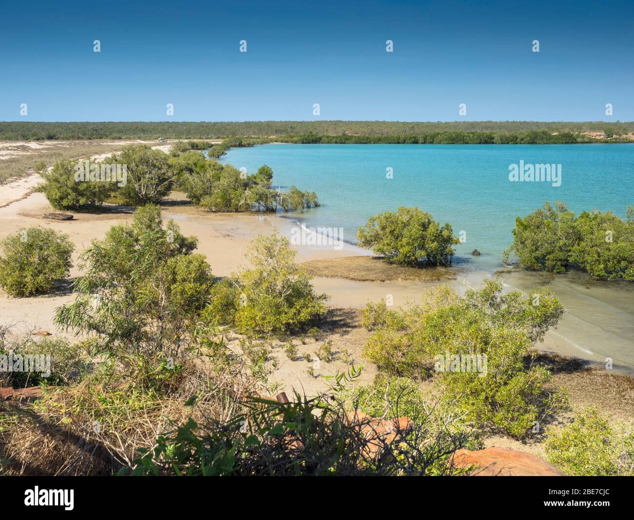 Mangroves, Bay, Dampier Peminsula, the Kimberley, Western