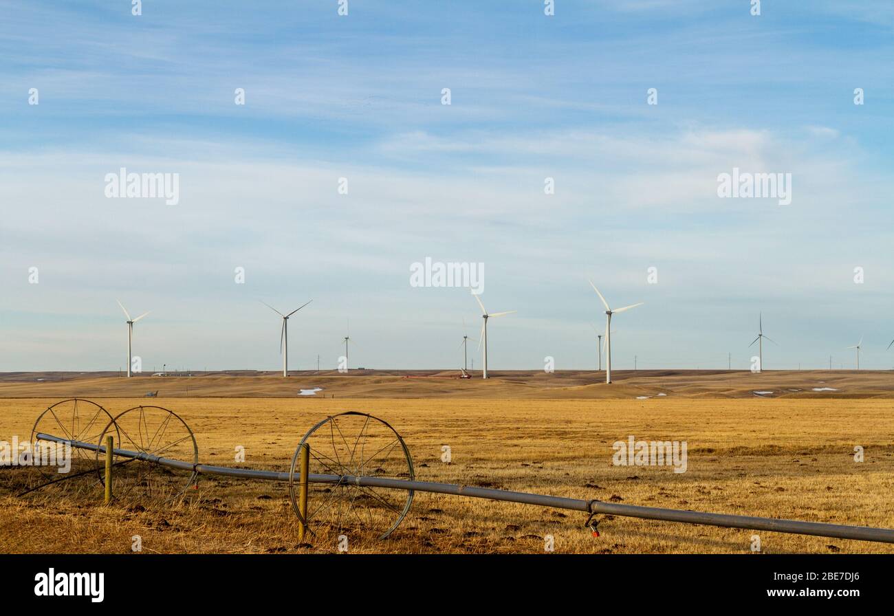Wind turbines in agriculture fields near Fairfield, Montana, USA Stock