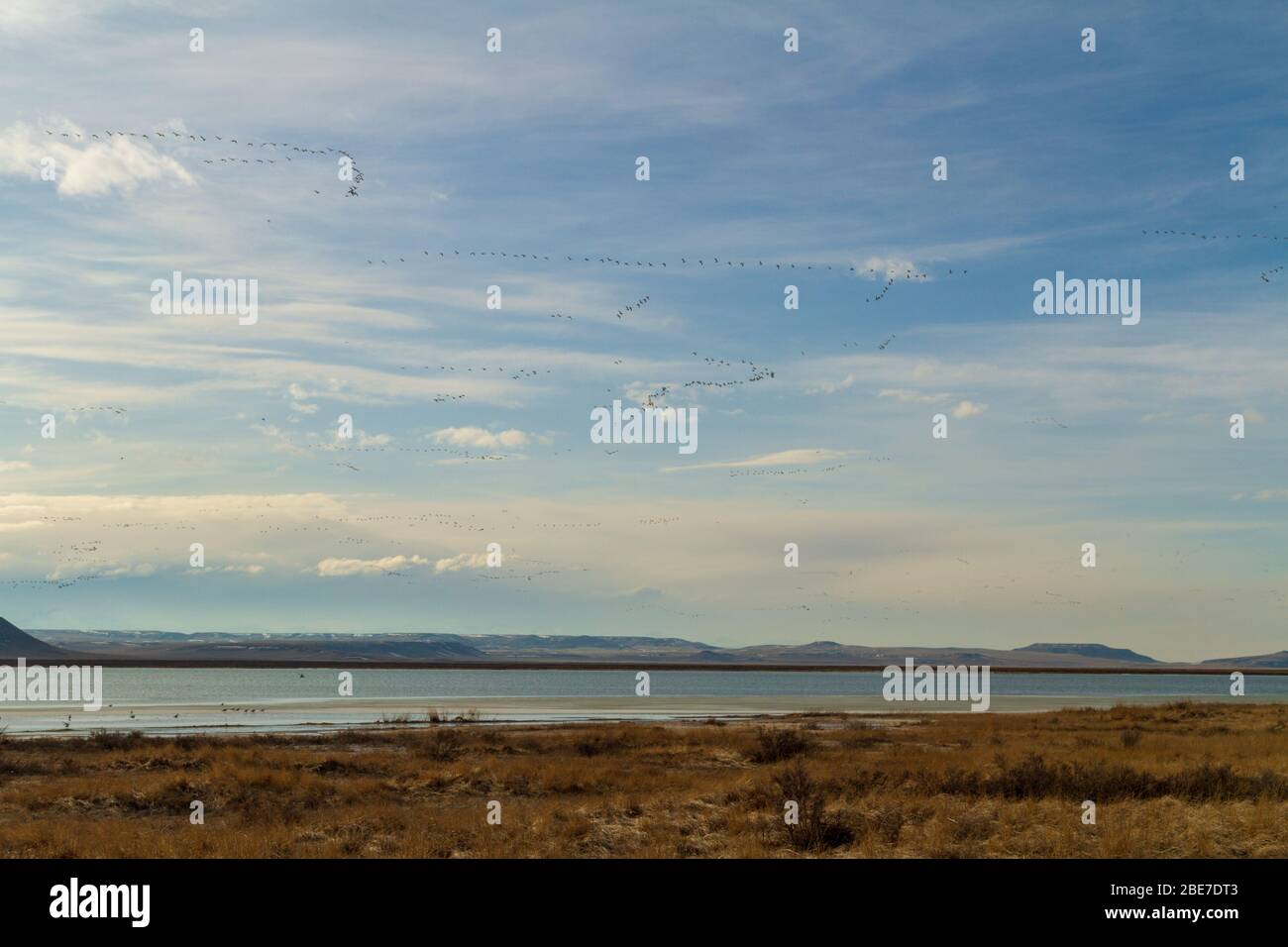Freezeout lake wma hires stock photography and images Alamy