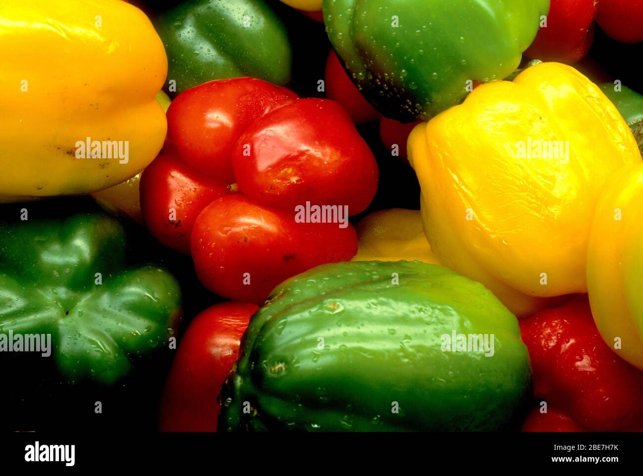 Red, yellow, and green bell peppers Stock Photo Alamy