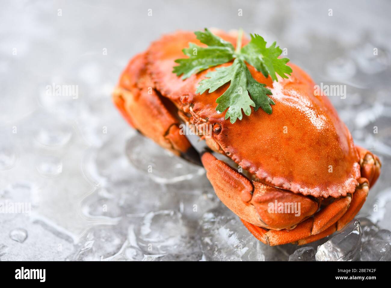 Fresh crab on ice background / Cooked crabs seafood Stock Photo Alamy