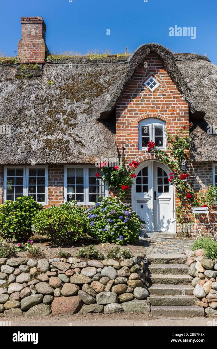 Front of a traditional house with red roses in Mogeltonder, Denmark Stock Photo