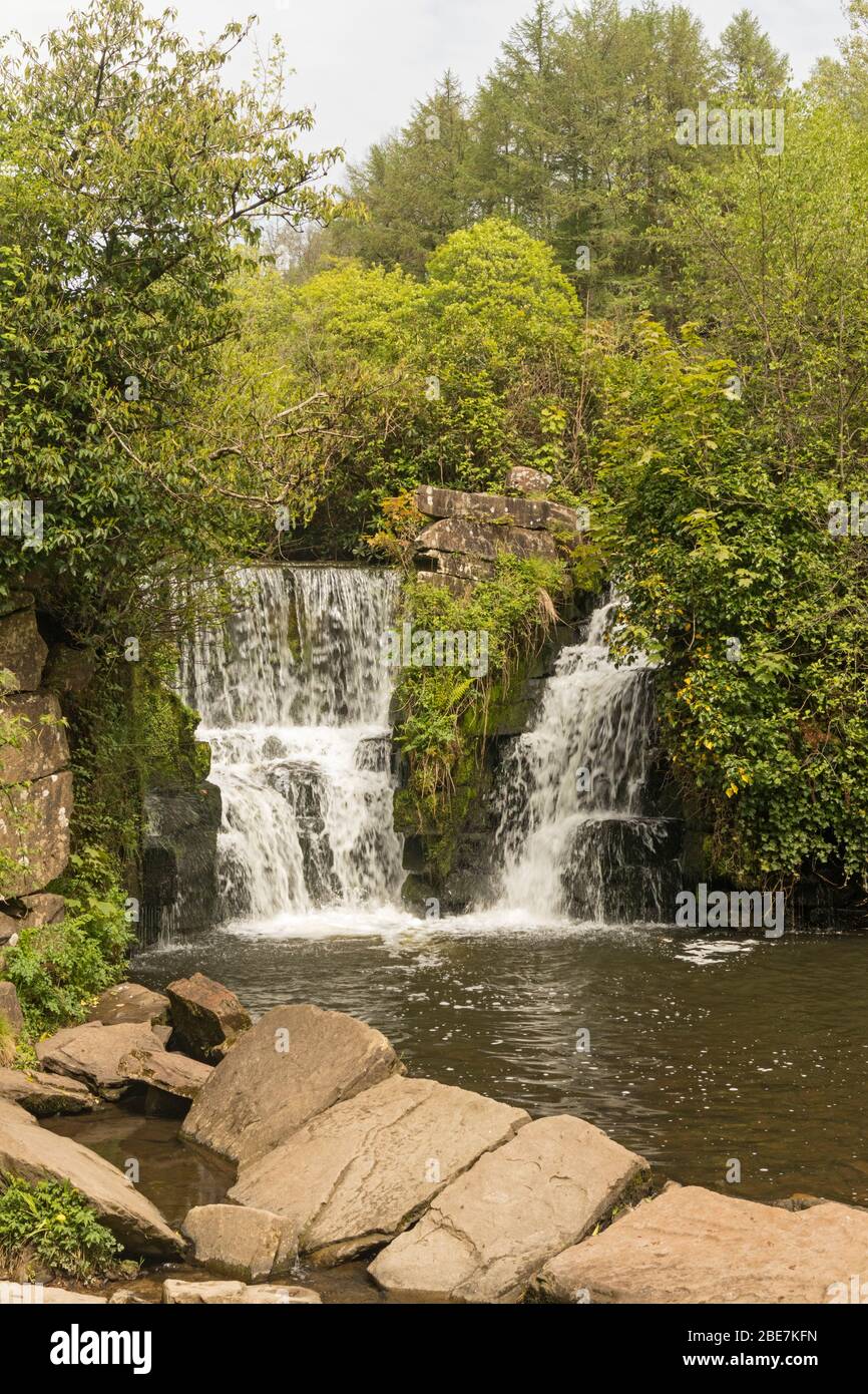 Waterfall on River Llan, Penllergare Valley Woods, Penllergaer, Swansea, South Wales, UK Stock Photo