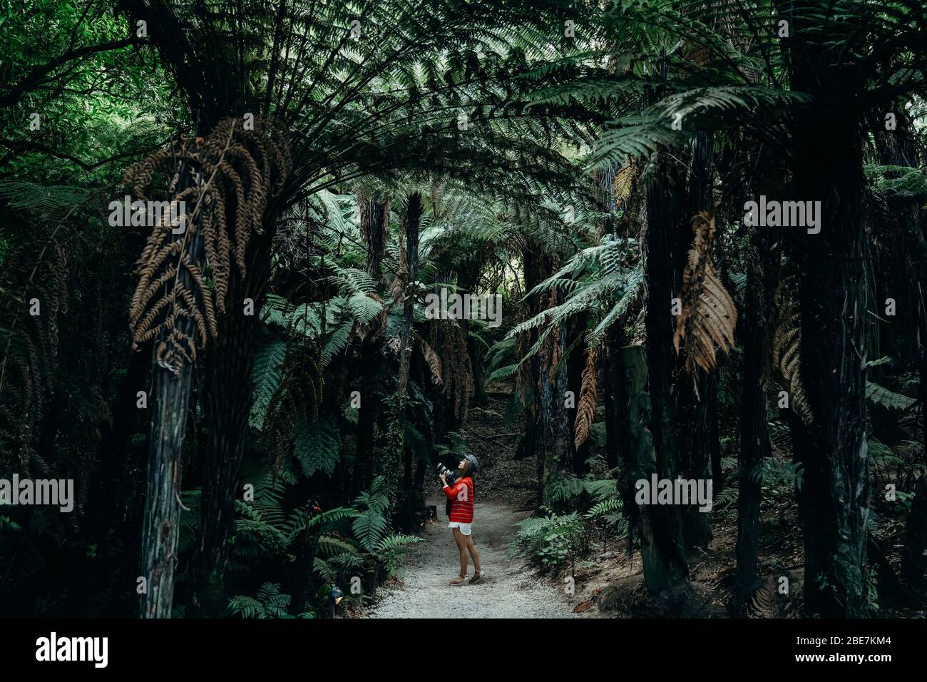 7/3/2020 Asian woman take pictures inside Mitai Maori Village, New Zealand. Stock Photo