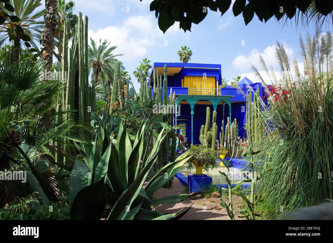 Travel in Morocco at YSL Museum, Blue house of Yves Saint Laurent Stock  Photo - Alamy