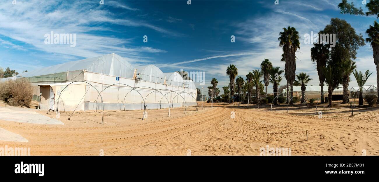 Greenhouse agriculture israel hires stock photography and images Alamy