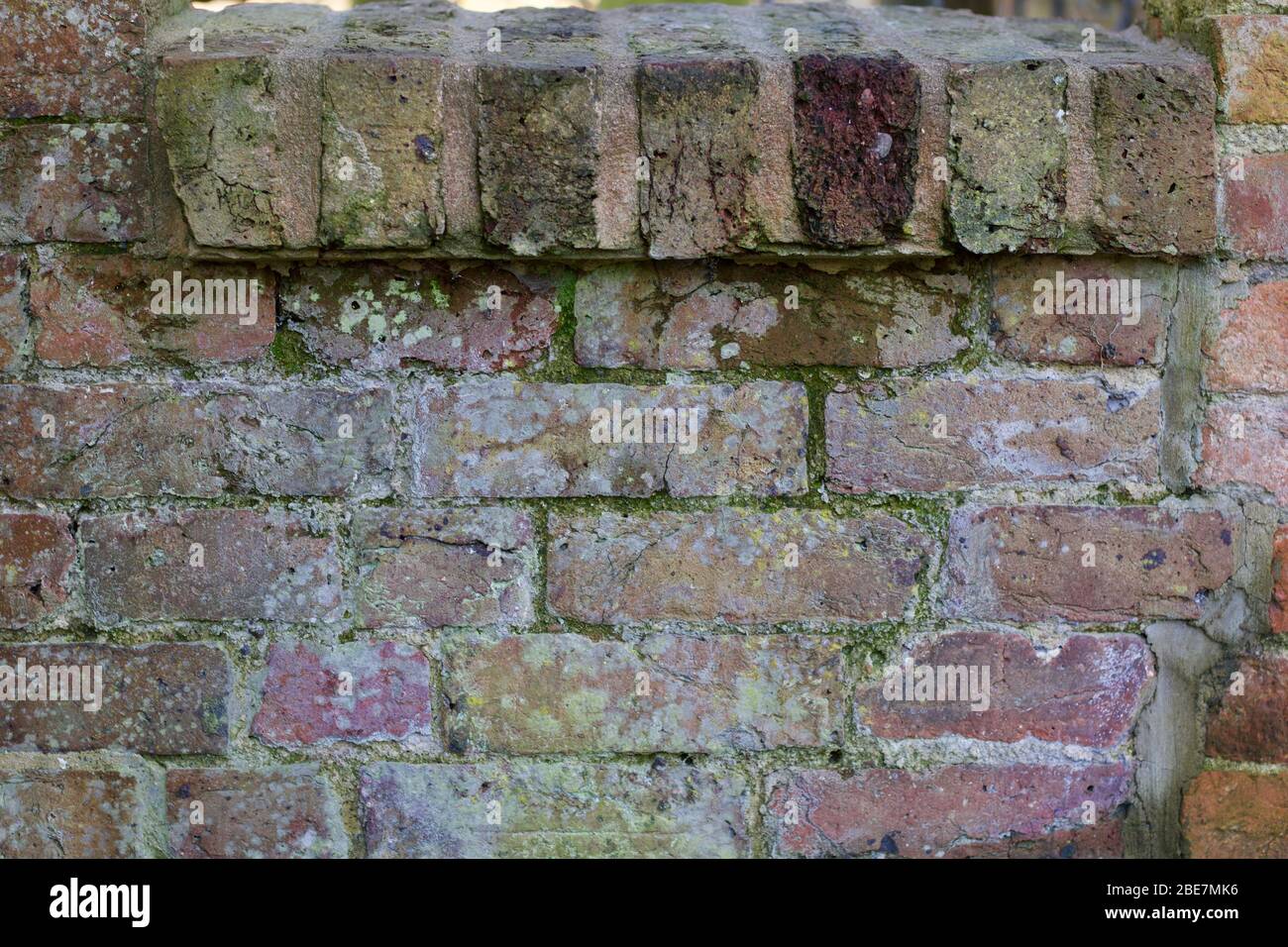 Weathered old wall looking damp with mould growth Stock Photo