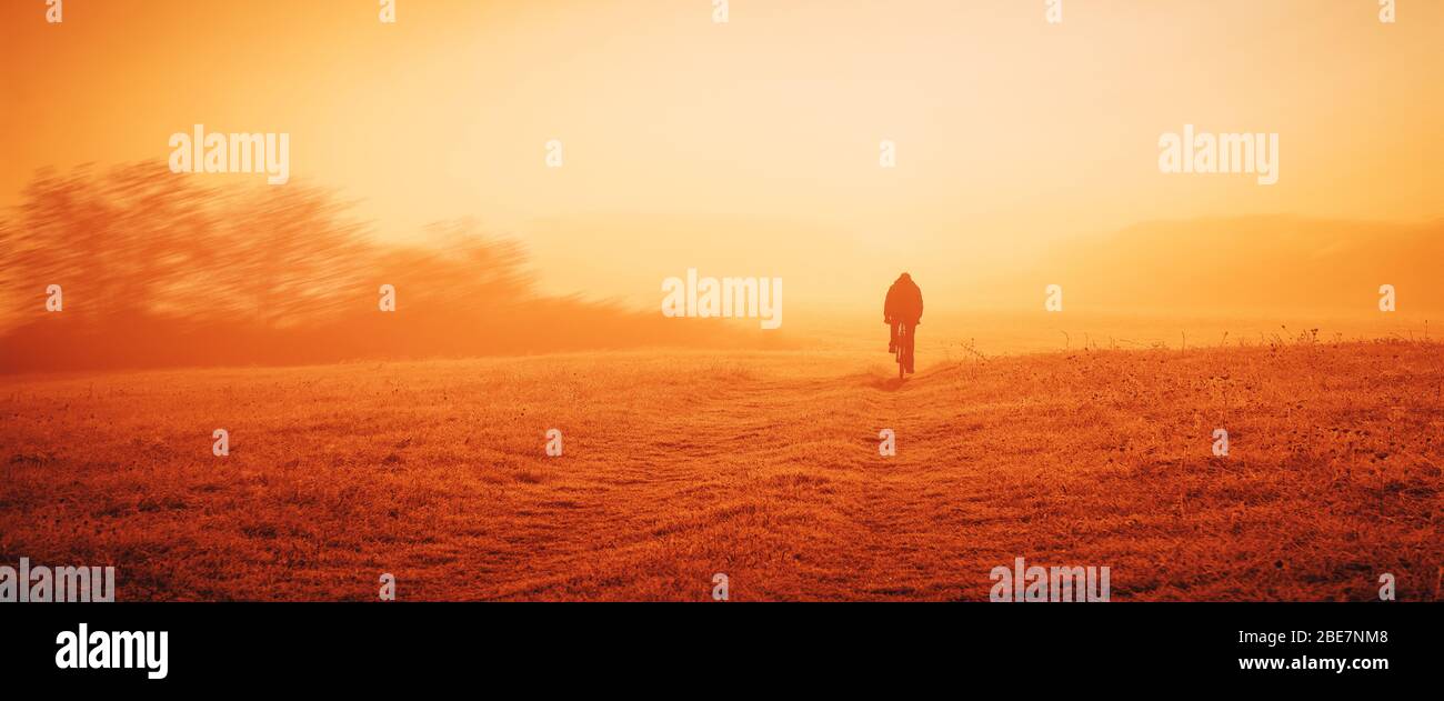 Banner, web page or cover template. Standard size. Man ride on bicycle in summer sunset light through agricultural field. Copy space and panoramic rat Stock Photo