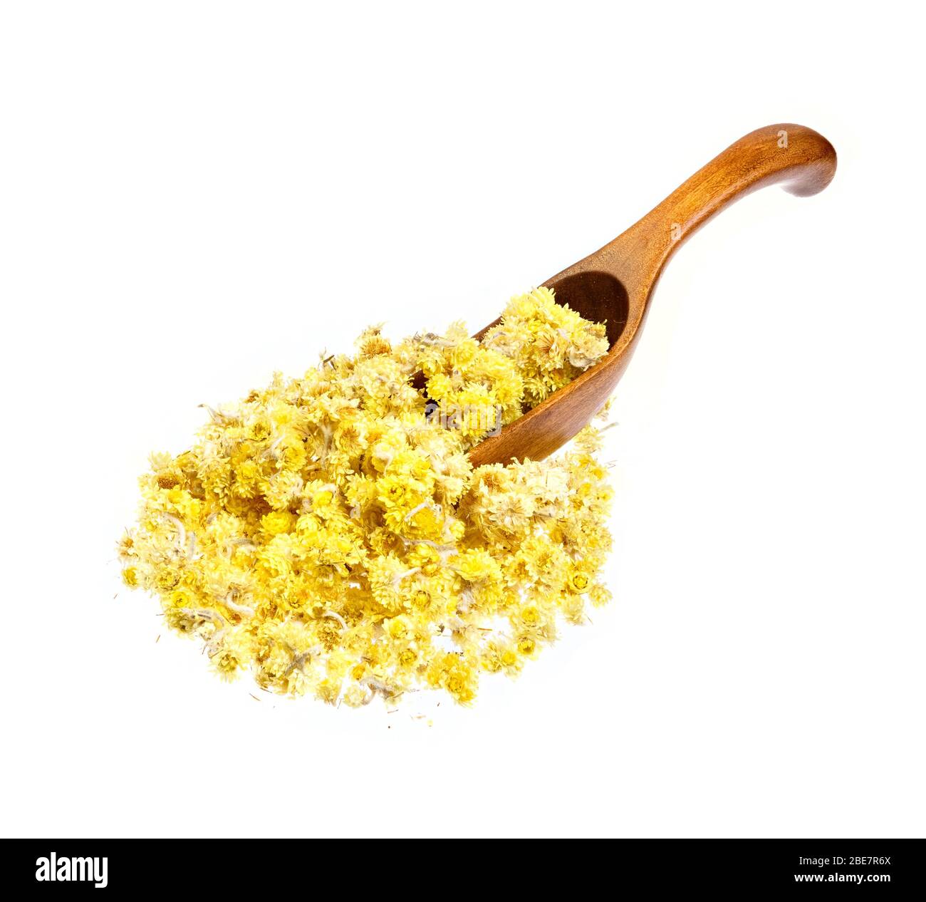 Helichrysum flowers on the wooden spoon, isolated. Stock Photo