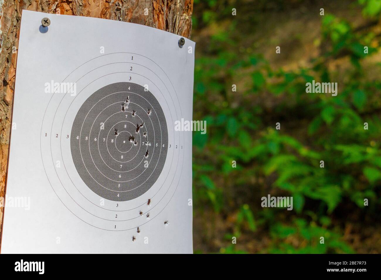 Target in the dash. Shooting from a gun. Targets with bullet holes in the dash. Stock Photo