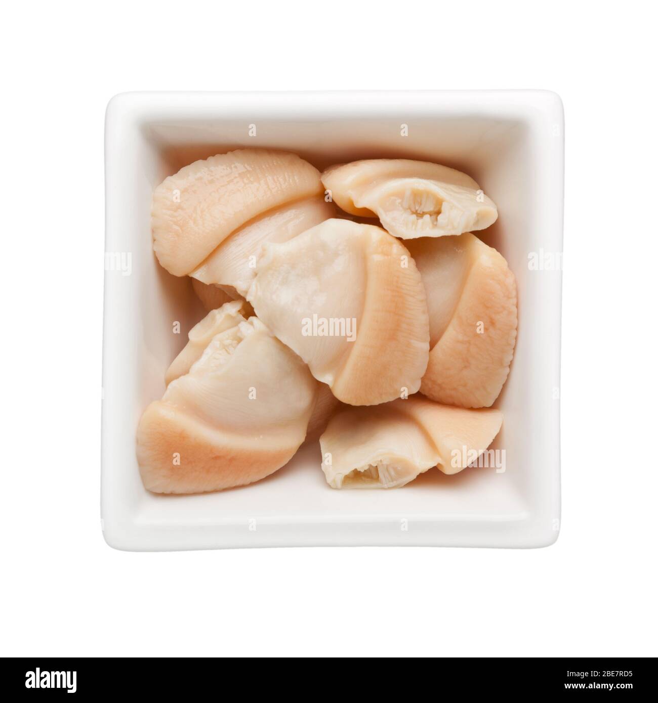 Canned clams in a square bowl isolated on white background Stock Photo