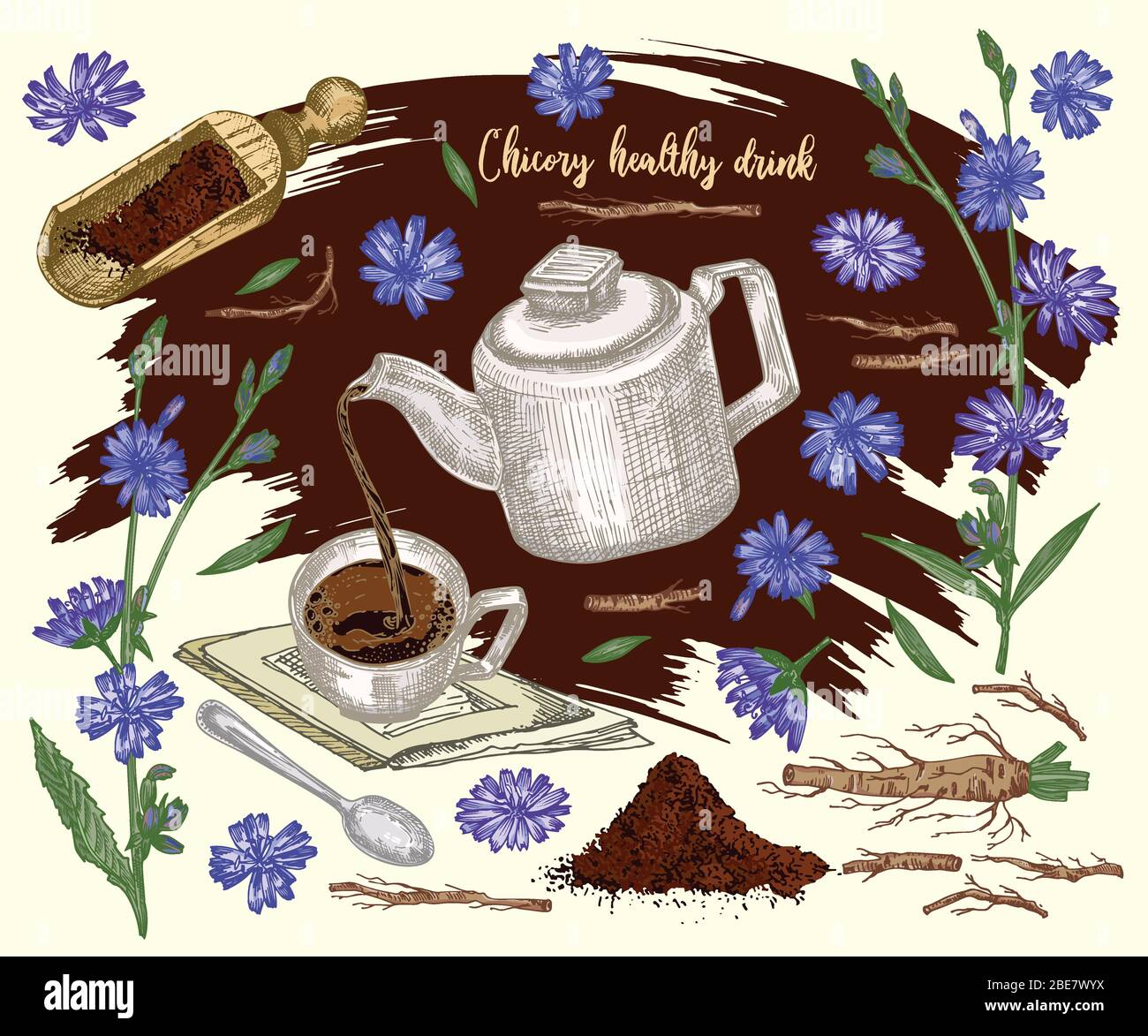 label, card, sticker with Realistic Botanical color sketch of chicory flowers, powder, teapot, tea cup and spoon isolated on brown background, floral Stock Vector