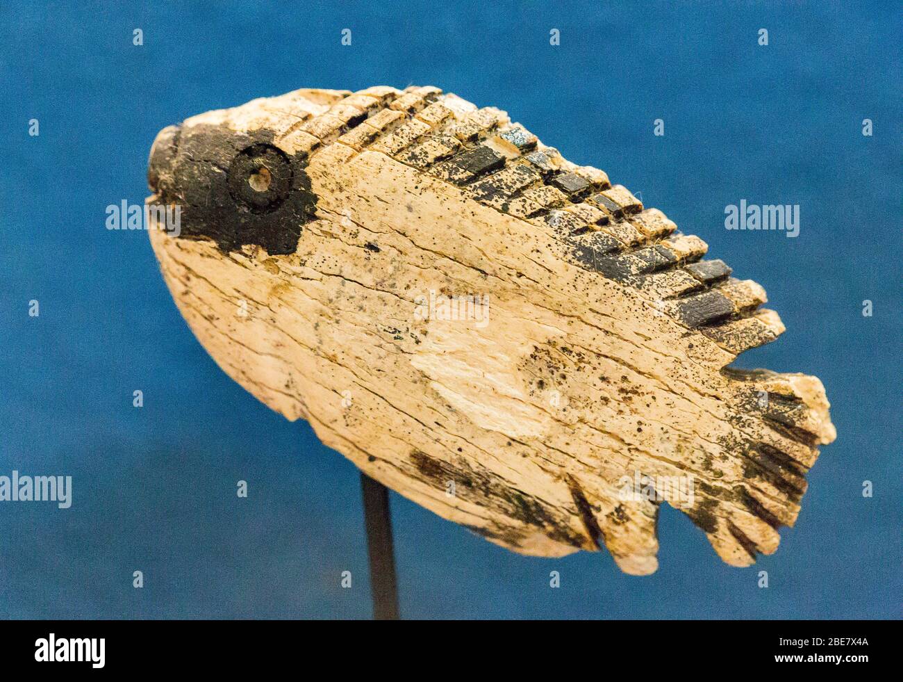 Egypt, Cairo, Egyptian Museum, statuette coming from Tell el Farkha, early Dynastic period, in hippopotamus tusk. Fish. Stock Photo