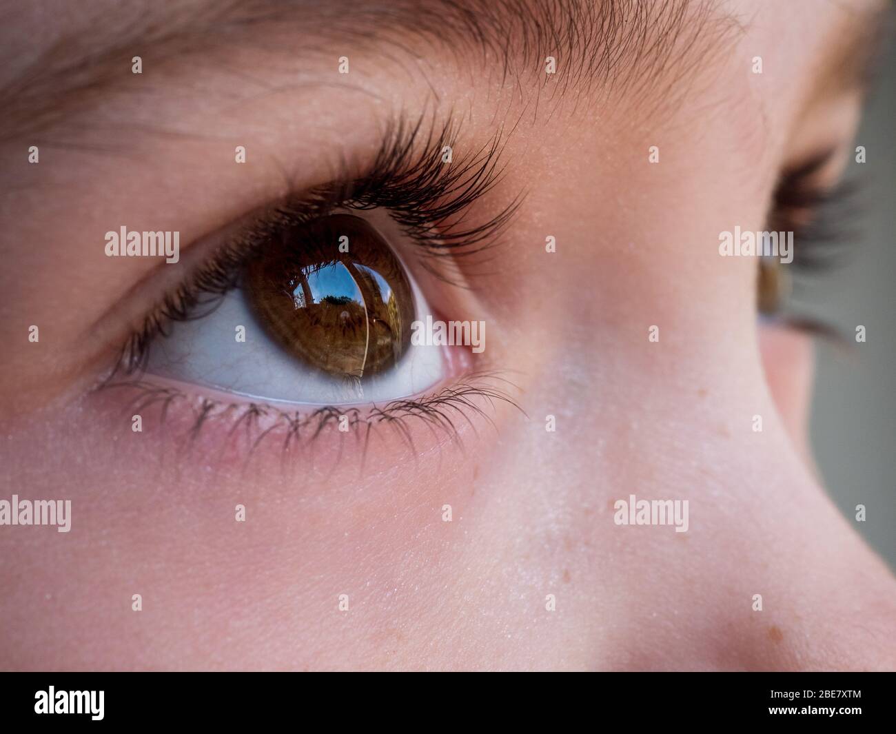 Close up image of a girl's brown eye looking out of a window Stock Photo
