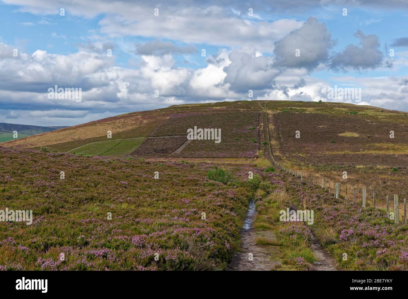 The Path to the summit of the Brown Caterthun, a hill with the remnants of an Iron Age Fort in the foothills of the Angus Glens. Stock Photo