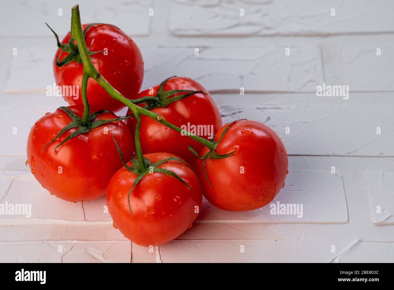 Seedling tomato top view tomatoes hi-res stock photography and images ...