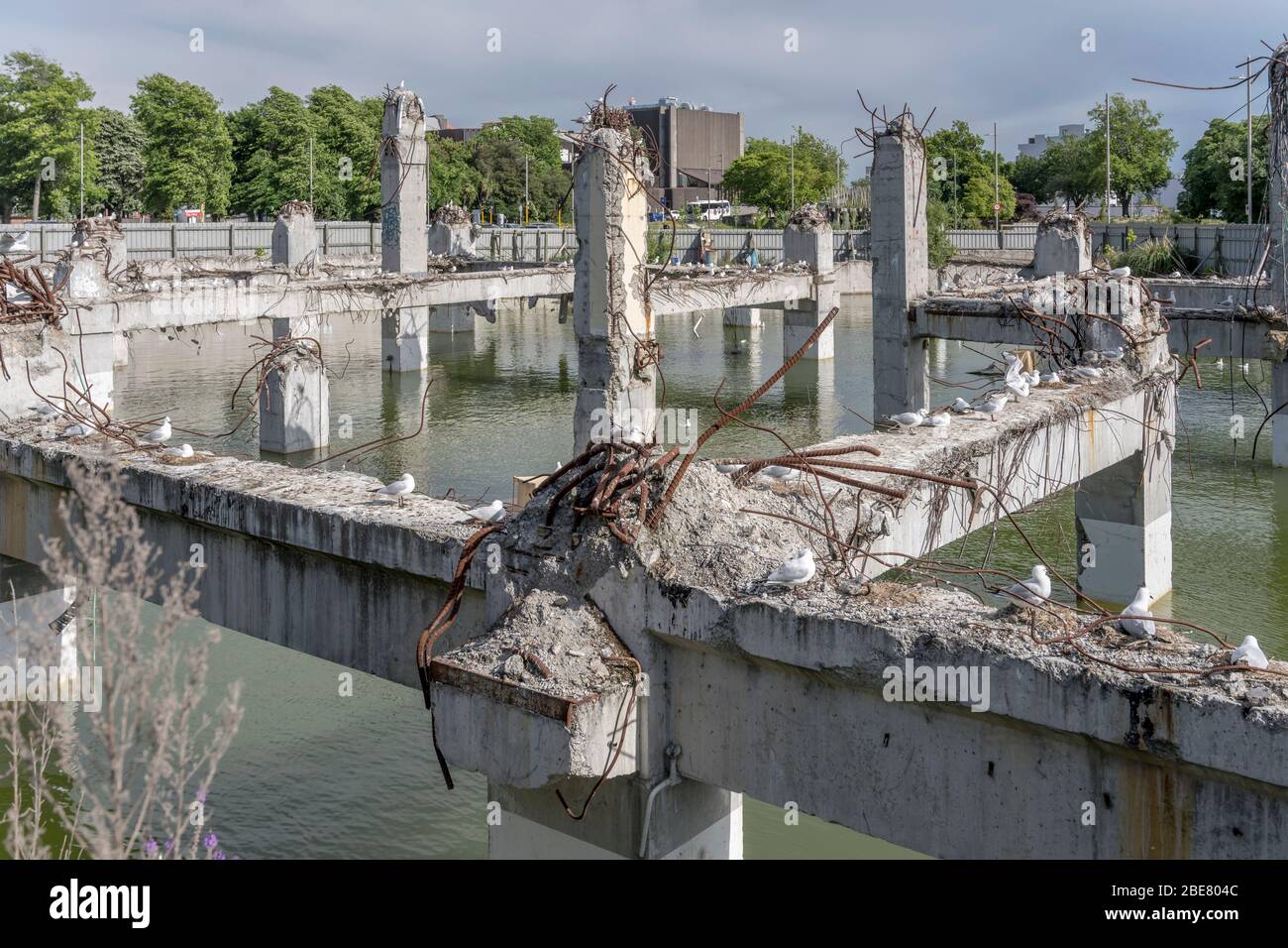 cityscape with flooded ruins of collapsed concrete building framework with Black-billed gulls on wrecked pillars and warped reinforcing steel, shot in Stock Photo