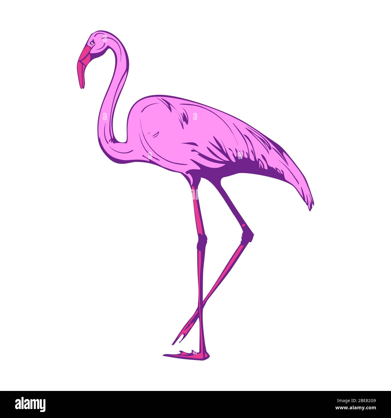 Flamingo vector vectors hi-res stock photography and images - Alamy