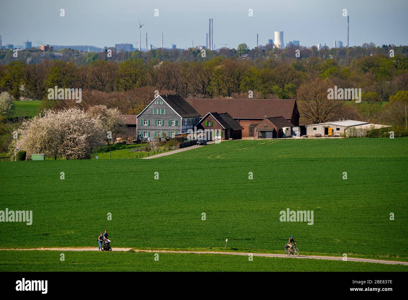 Landscape near MŸlheim-Menden, farm, behind industrial scenery of Duisburg, steelworks, cooling tower of the coal-fired power plant Walsum, MŸlheim an Stock Photo