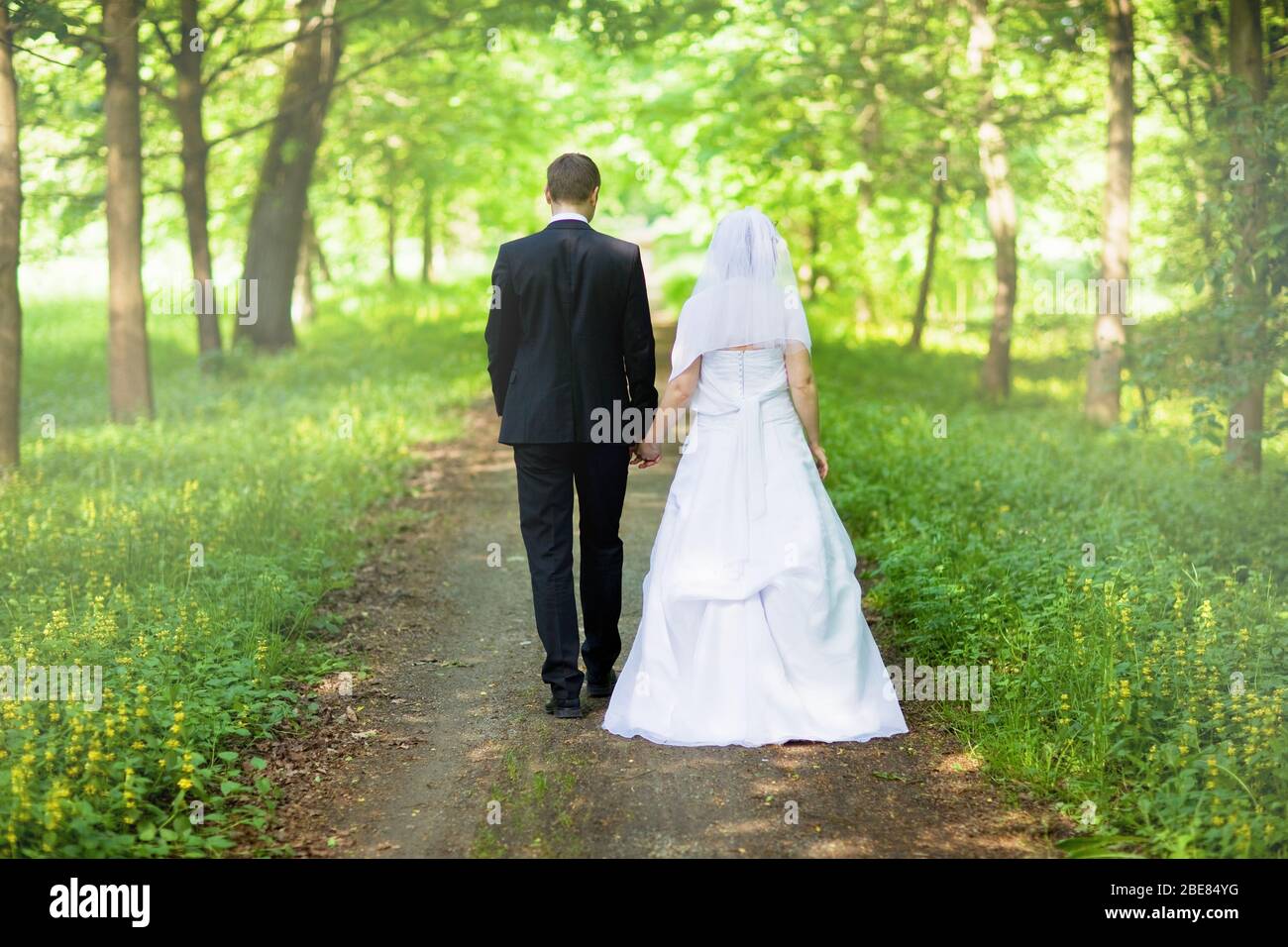 Back view of bride in white dress and groom in suit holding each others ...