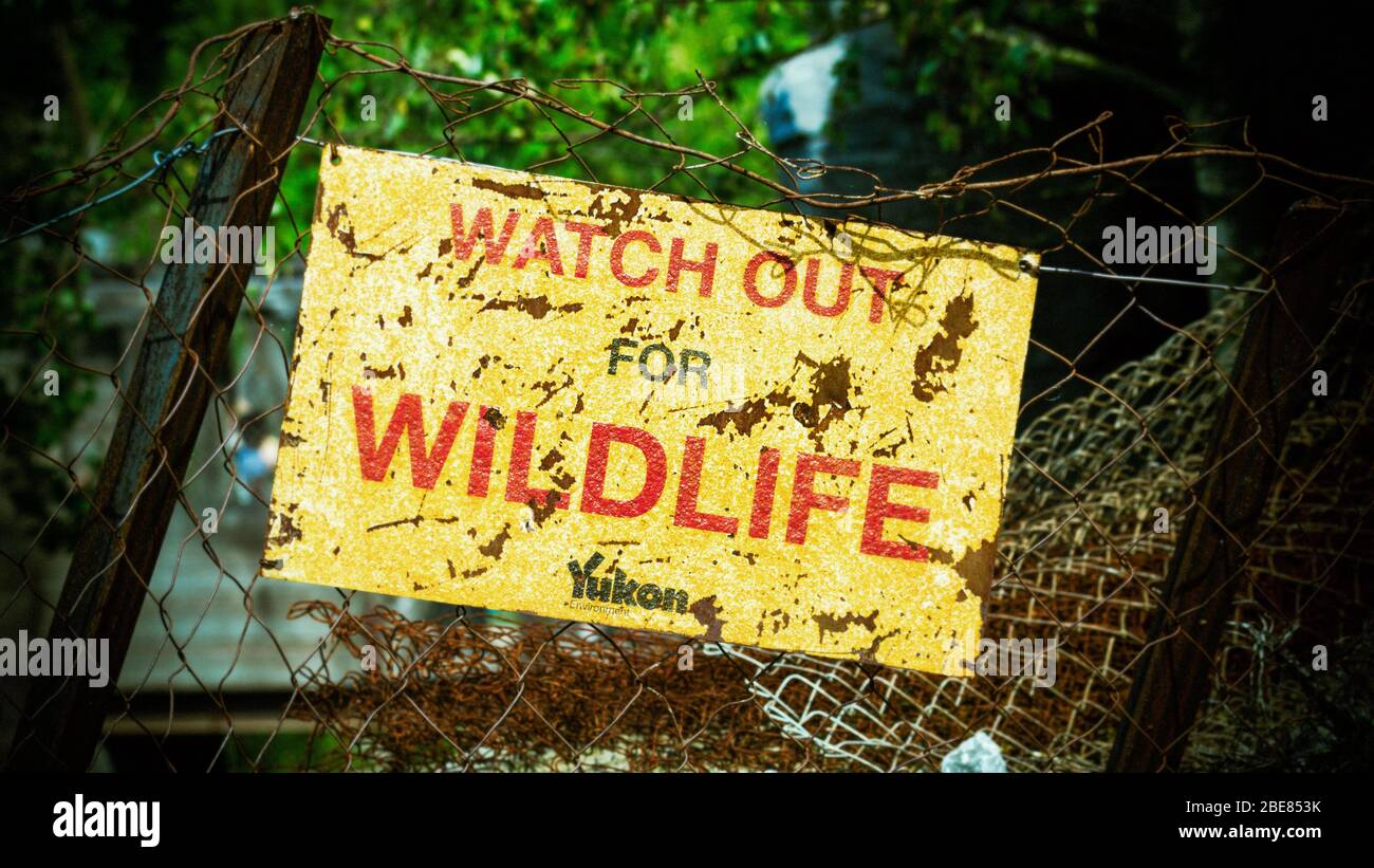 Watch out for Wildlife sign on rusty fence Stock Photo Alamy