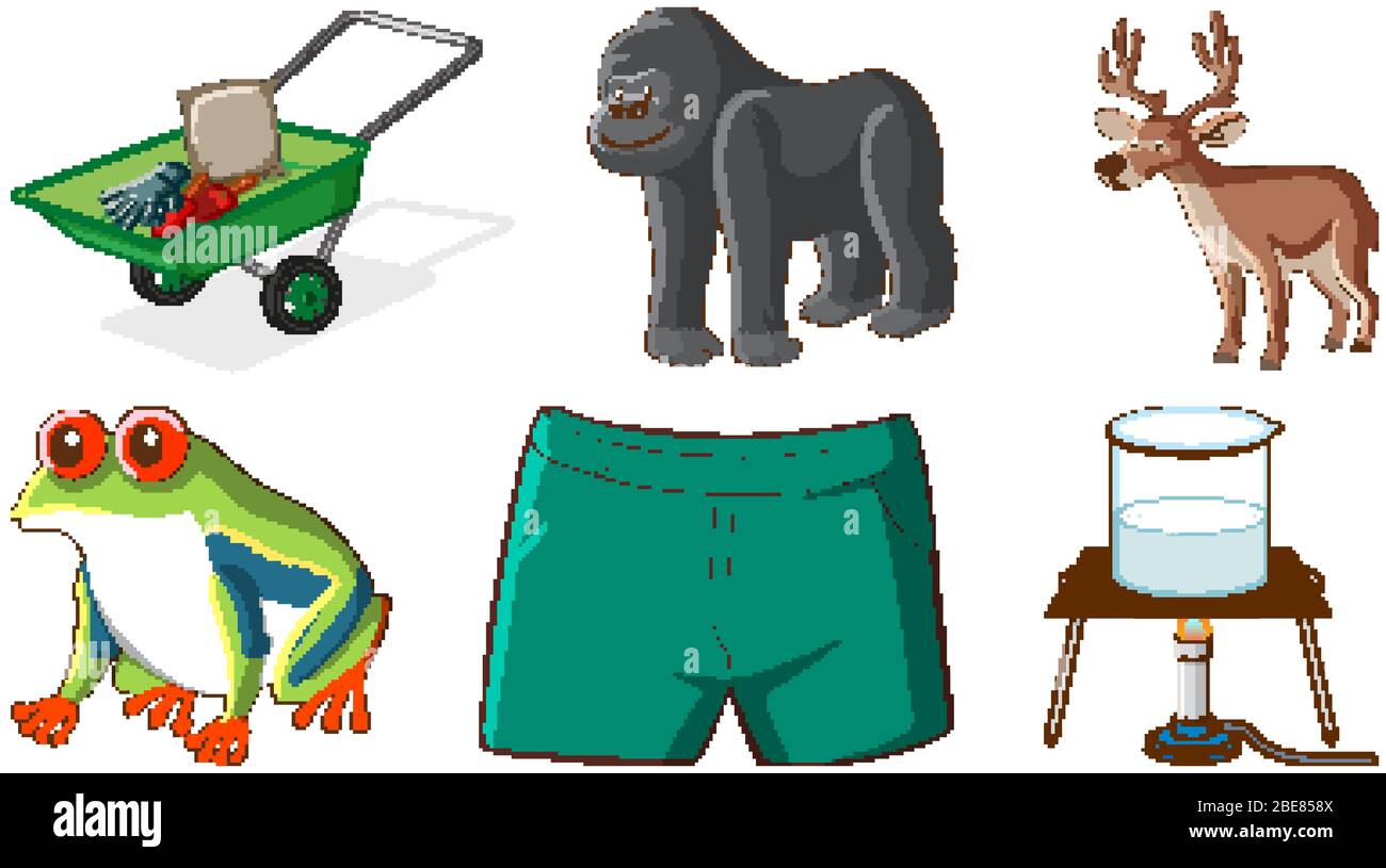 Large set of different animals and other objects on white background ...