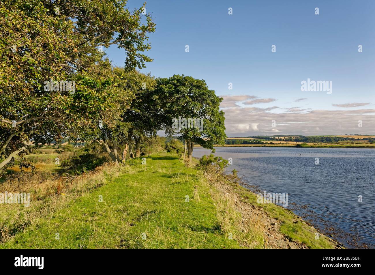 The Footpath on the banks of the Montrose Basin at The Lurgies on a bright sunny day in August. Stock Photo