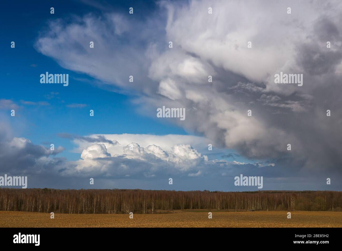 Mammatus cloud formations in severe storm clouds Stock Photo