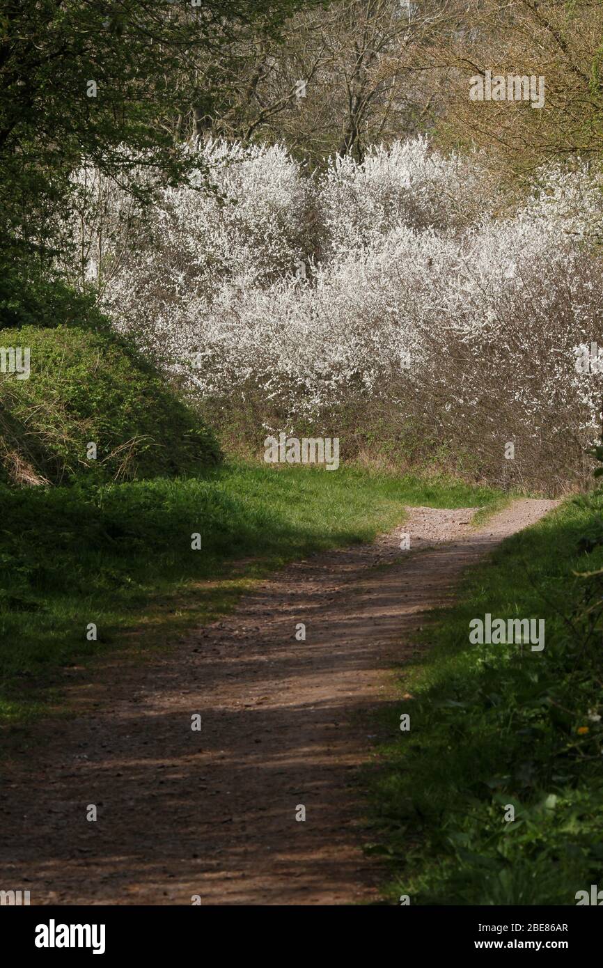 castle hill, anstey, Leicester Stock Photo Alamy