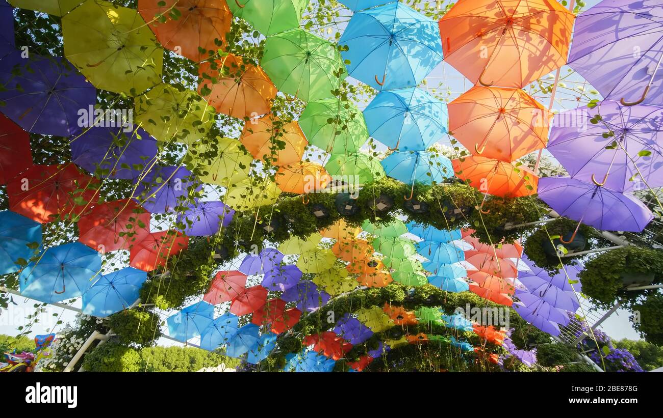 Multi-colored umbrellas in the park of the city. Stock Photo