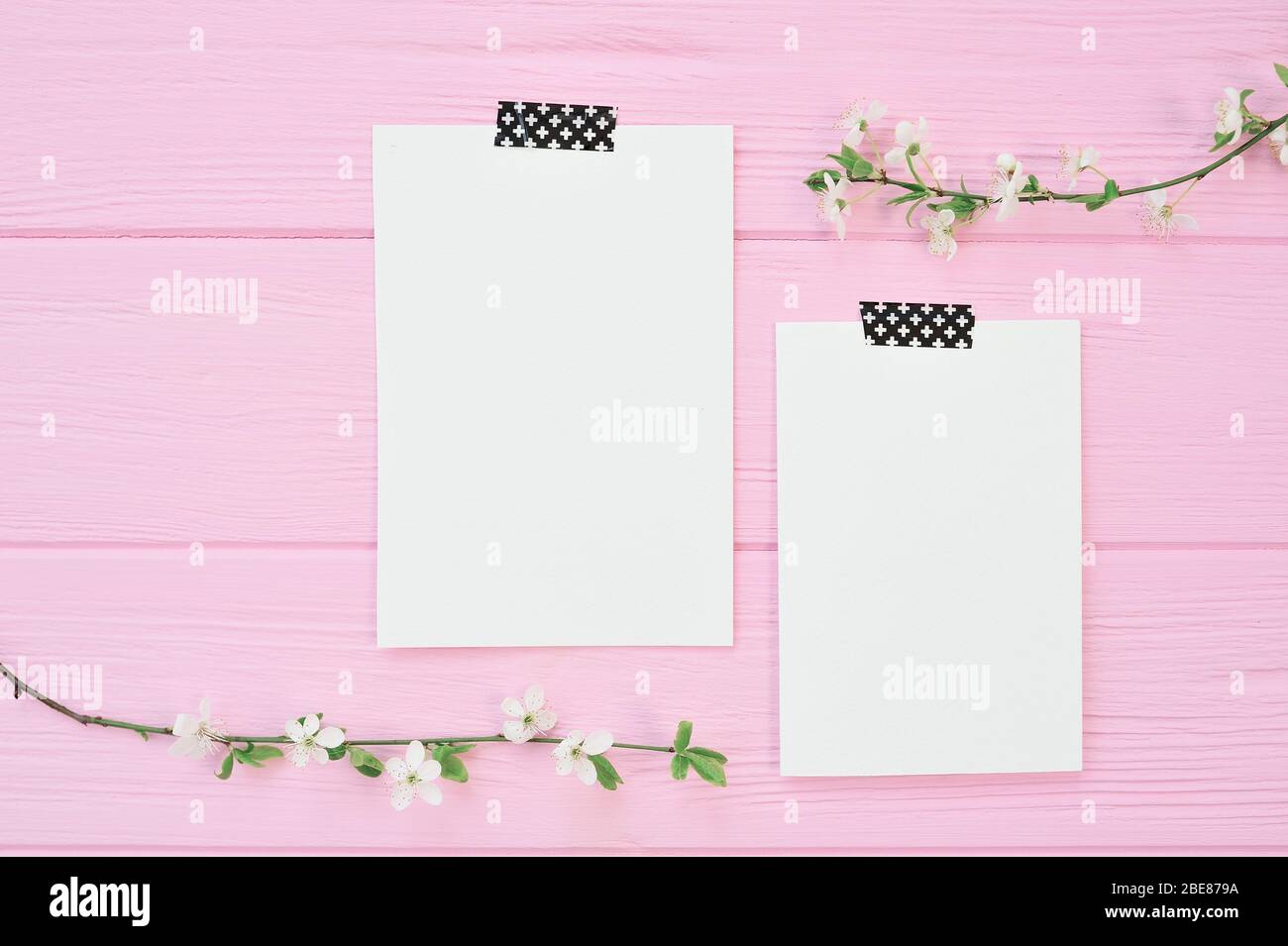Two branches of white cherry flowers on pink wooden background with two sheet of mockup papers with place for your text. For greeting card, banner Stock Photo