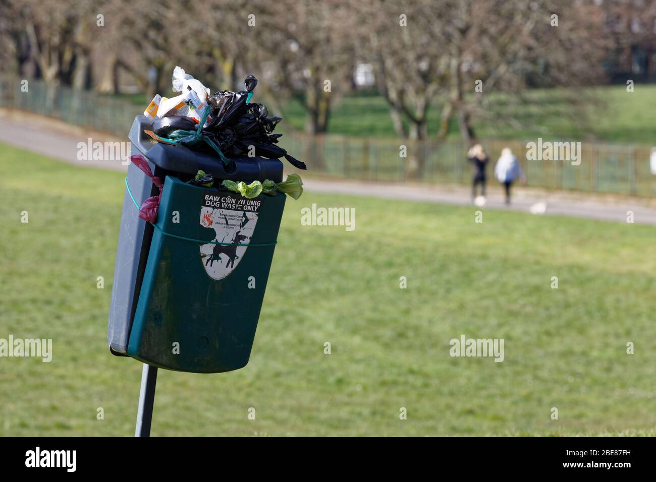 Pictured: An over-filled dog waste bin from too many people walking their dogs in Singleton Park, Swansea, Wales, UK. Friday 27 March 2020 Re: Covid-1 Stock Photo