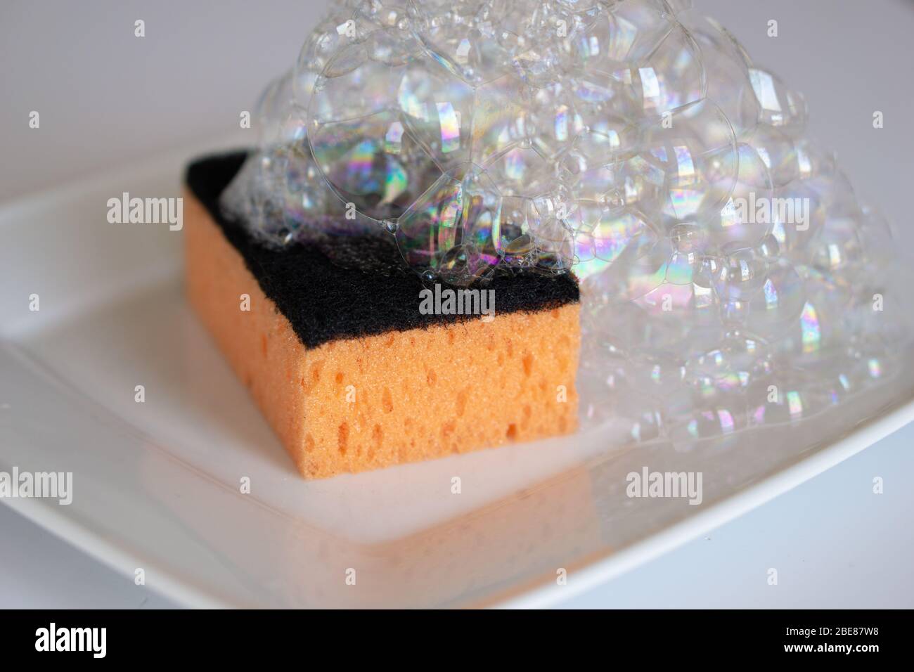 Sponge Foam for plate