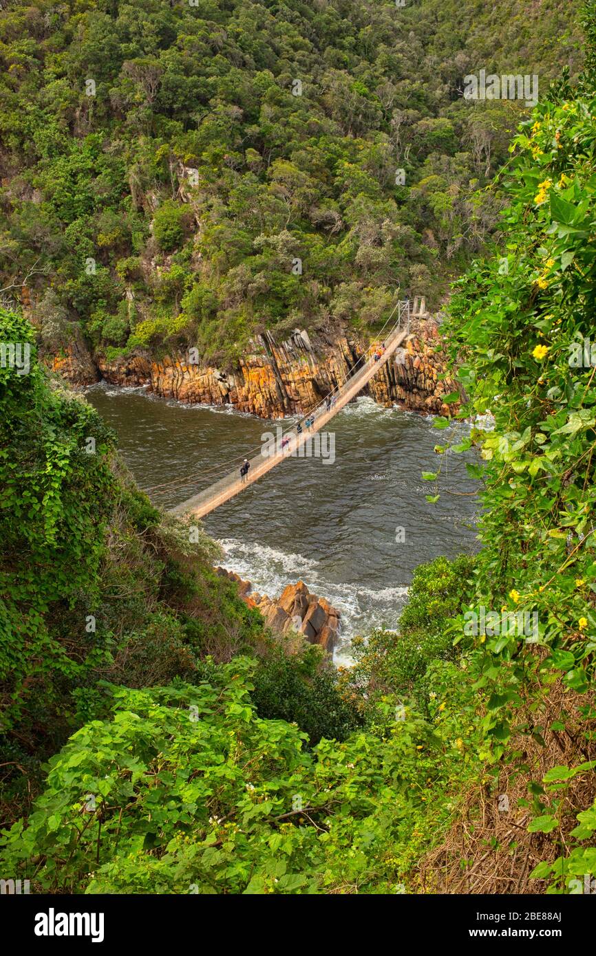 People on the suspension bridge at Storms River Mouth,Tsitsikamma