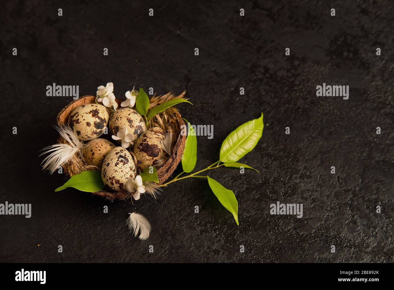 easter composition. eggs in the nest and leaves Stock Photo
