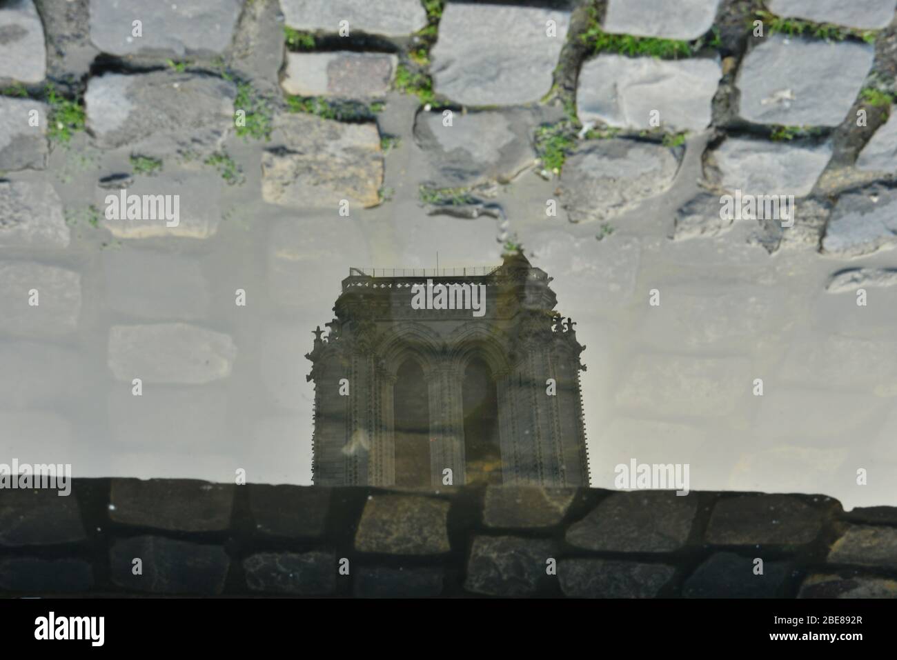 Reflection on water : a different view of Notre-dame Stock Photo