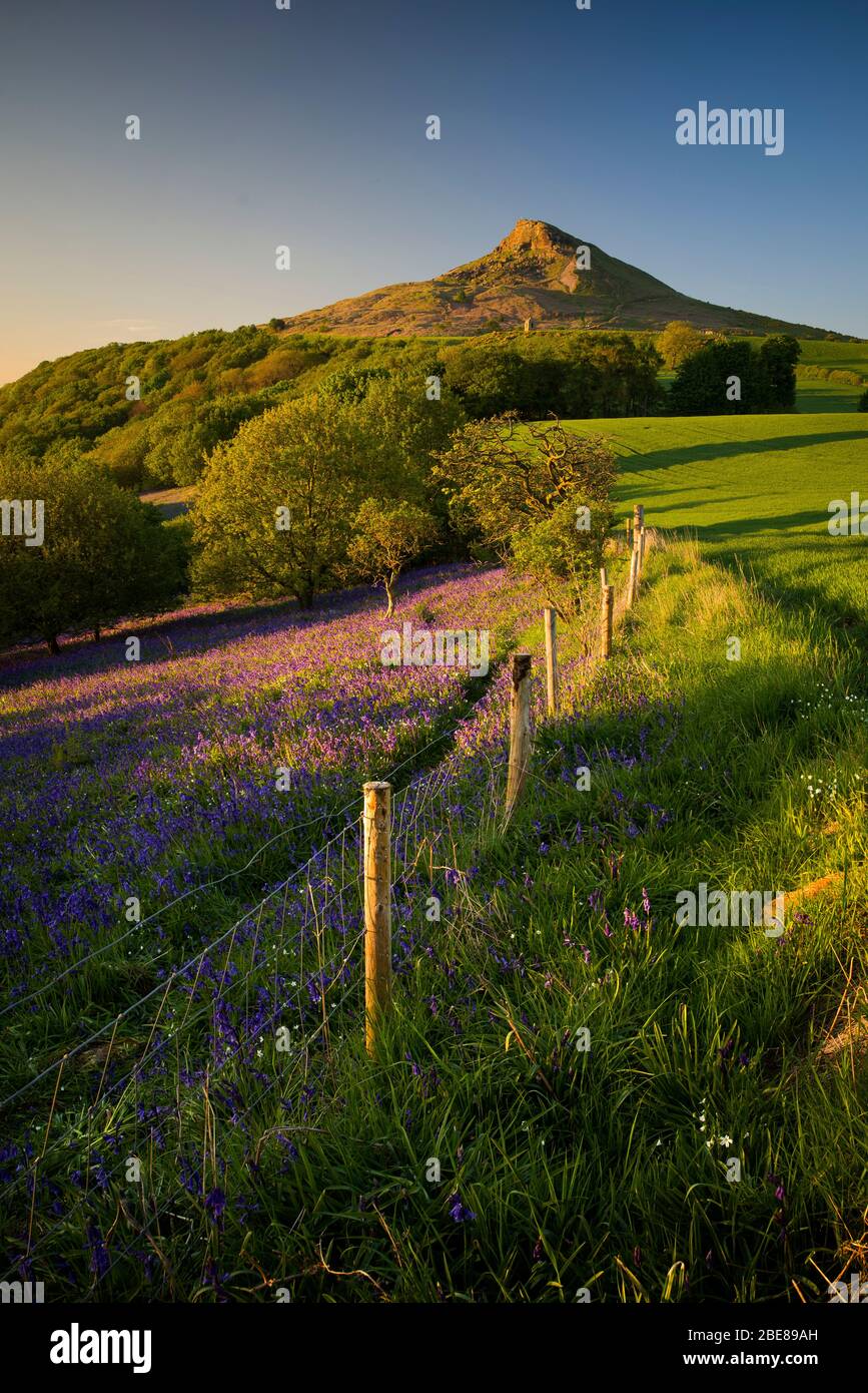 Roseberry Topping Stock Photo Alamy