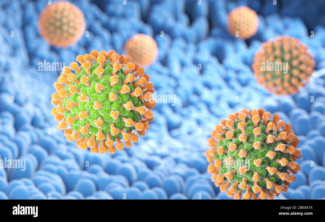 Rotavirus bacteria on the microvilli surface of digestive system. 3D illustration Stock Photo
